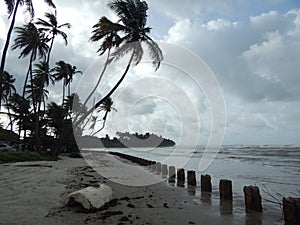 Manzanilla Beach, Trinidad and Tobago, West Indies photo