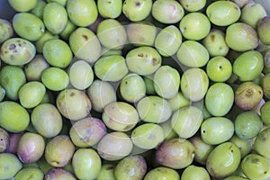 Manzanilla CacereÃÂ±a variety olives. Olives or olives from Extremadura olive trees photo