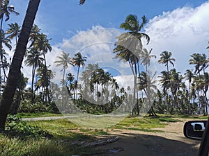 Manzanilla Mayaro Road Located Along The Coastline of East Trinidad photo