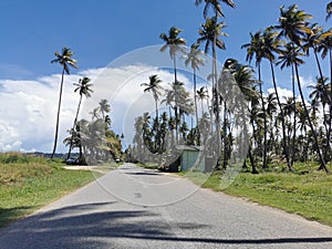 Manzanilla Mayaro Road Located Along The Coastline of East Trinidad photo