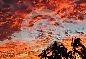 Manzanillo Red Sunset 1