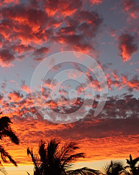 Manzanillo Red Sunset 4