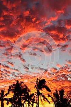 Manzanillo Red Sunset 5