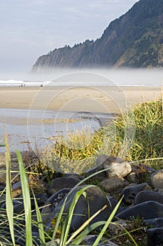 Manzanita coast