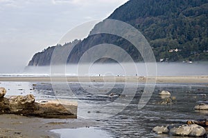 Manzanita coast photo