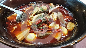 Mao Xue Wang - Duck's blood, beef and tripe in spicy soup