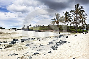 Maoi at Anakena beach photo