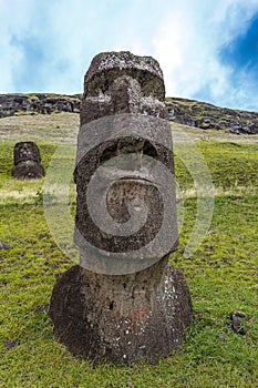 Maoi statue in the Rano Raraku Quarry at Easter Island, Chile photo