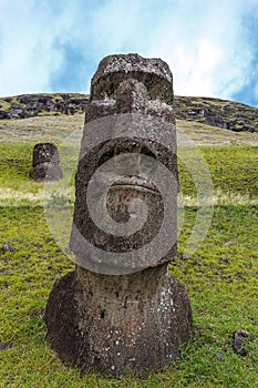 Maoi statue in the Rano Raraku Quarry at Easter Island, Chile photo