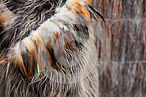 Maori cloak. photo