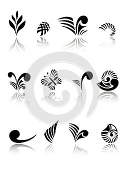 Maori Koru Design Elements Set photo