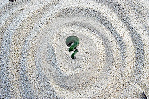 Maori koru fern green stone on sand photo