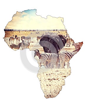 Map of africa continent concept, safari on waterhole with elephants