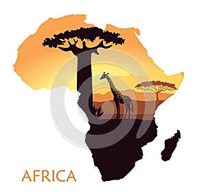 Map of Africa with the landscape of sunset in the Savannah, giraffe, baobab and acacia. Vector background