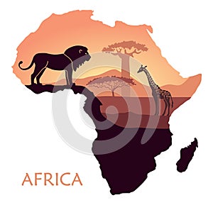 Map of Africa with the landscape of sunset in the Savannah, lion, giraffe, baobab and acacia. Vector background