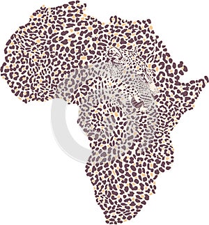 Map of Africa with a leopard pattern on the background