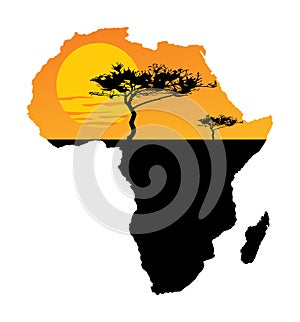 Map of Africa. Safari sunset. Savanna acacia tree.