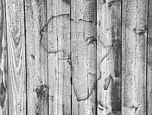 Map of Africa on weathered wood