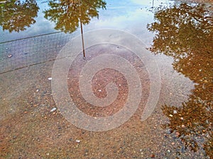 The map continental which is looking like small lake under green leafs in the garden.