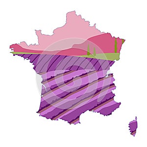 Map of France combined with lavender field. Vector outline and silhouette map of France. Fields of blooming lavender. Summer sunse