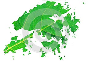 Map of Hong Kong in green leaf texture on a white isolated background. Ecology, climate concept, 3d illustration