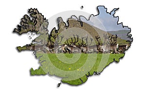 Map of Iceland with Reindeer ( Rangifer tarandus ) herd photo