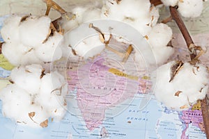 Map of India with white cotton flowers