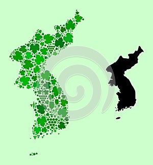 Map of Korea - Composition of Wine and Grapes