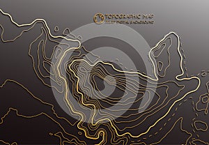 Map line of topography. Vector abstract topographic map concept with space for your copy. Abstract paper cut