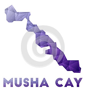Map of Musha Cay. Low poly illustration of the.
