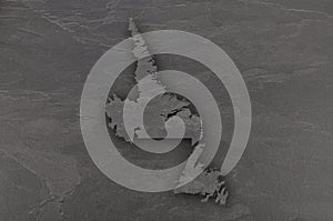 Map of Newfoundland and Labrador on dark slate