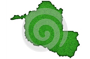 Map of Rondonia on green felt photo