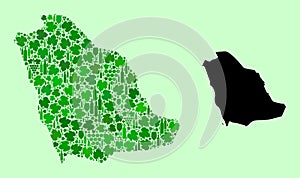 Map of Saudi Arabia - Composition of Wine and Grapes