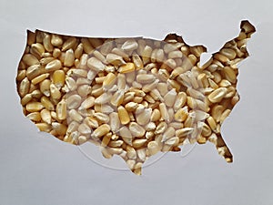 map of the territory of United States  of America formed with corn grains and white background