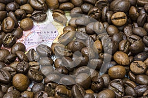 Map of Uganda under a background of coffee beans