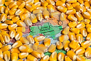 Map of Ukraine surrounded by corn kernels