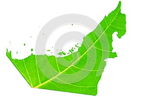 Map of United Arab Emirates UAE in green leaf texture on a white isolated background. Ecology, climate concept