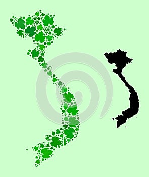 Map of Vietnam - Collage of Wine and Grapes