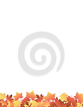 Maple Footer / Autumn leaves photo