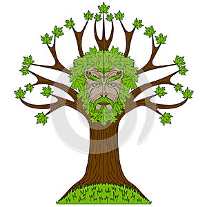 Maple Greenman in tree