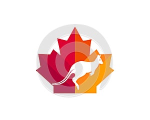 Maple Kangaroo logo design. Canadian Kangaroo logo. Red Maple leaf with Jumping Kangaroo vector