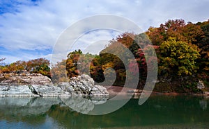 Maple (Koyo) Season in Japan