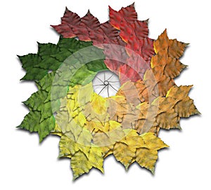 Maple Leaf Autumn Spiralling Spectrum photo