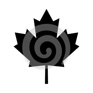 Maple leaf canada vector symbol icon design