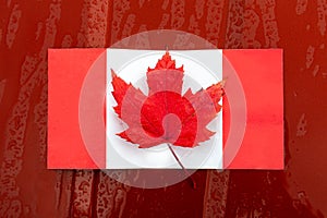 Maple leaf on Canadian flag