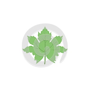 Maple Leaf colored icon. Element of colored autumn icon for mobile concept and web apps. Colored Maple Leaf icon can be used for w
