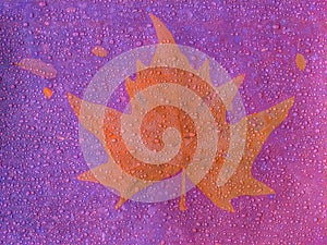maple leaf in a colorful background