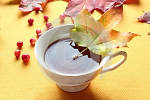 Maple leaf in a Cup of hot tea on the background of autumn foliage, close - up-the concept of a cozy pastime in autumn days