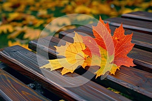 Maple leaf delicately rests on a warm brown wooden bench