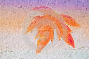 A maple leaf in fall colors